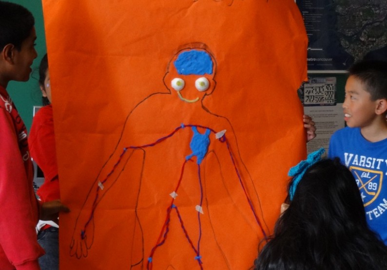 How Body Systems Work Together Vancouver Biennale